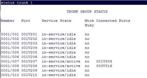 Status Trunk Group 1 - Wellington Paez