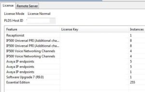 SIP-DECT License - Wellington Paez