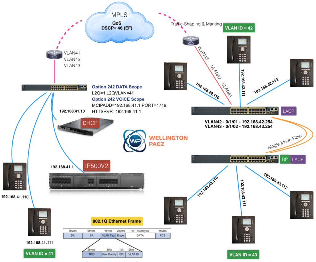 Ethernet LANs & IP Office Networking_WellingtonPaez