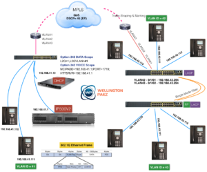 Ethernet LANs & IP Office Networking_WellingtonPaez